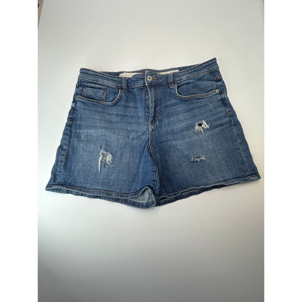 Pilcro & the Letterpress Slim Boyfriend Distressed Denim Shorts Women's 32